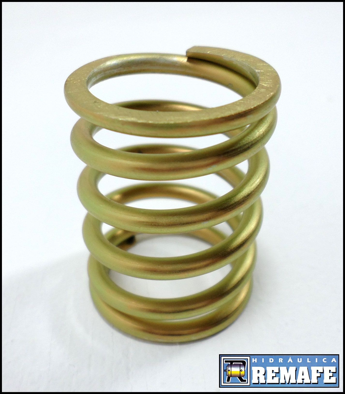 Racine 1 2 ou Parker ML 25.JPG